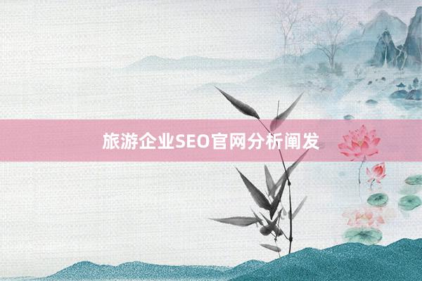 旅游企业SEO官网分析阐发